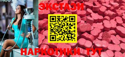 хмурый Тара